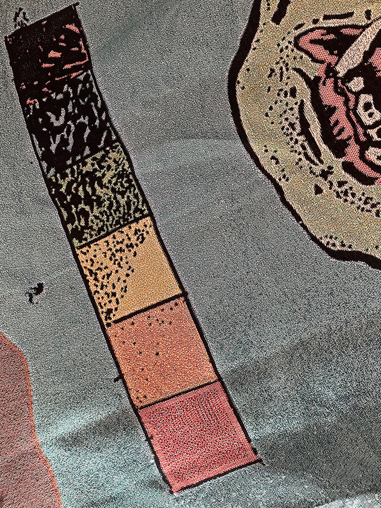 Blanket - Vampire Bat!