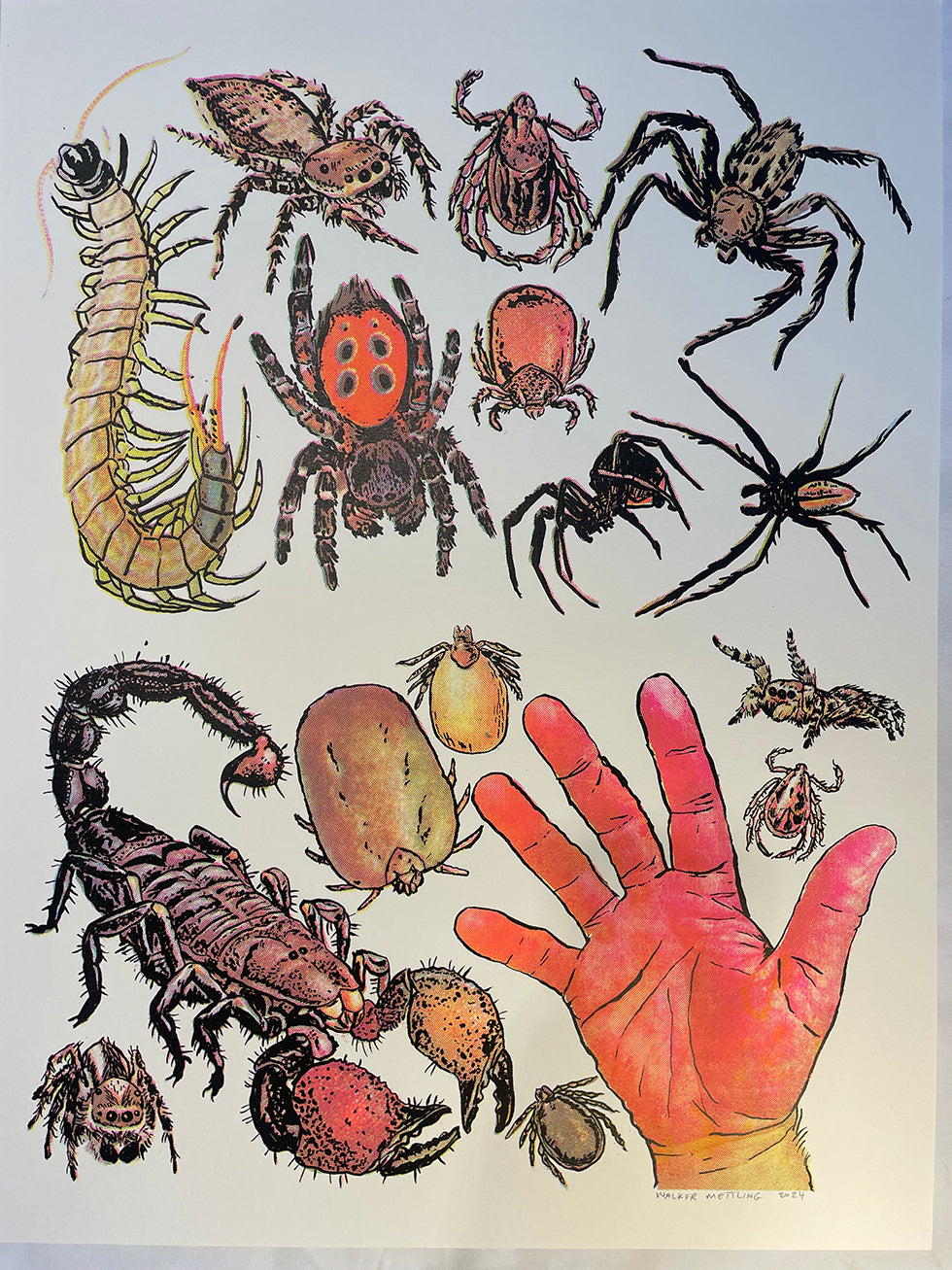 Arachnids/Hand Screen Print