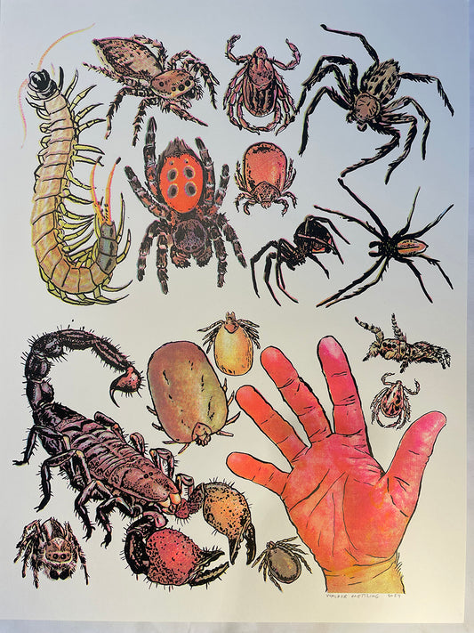 Arachnids/Hand Screen Print