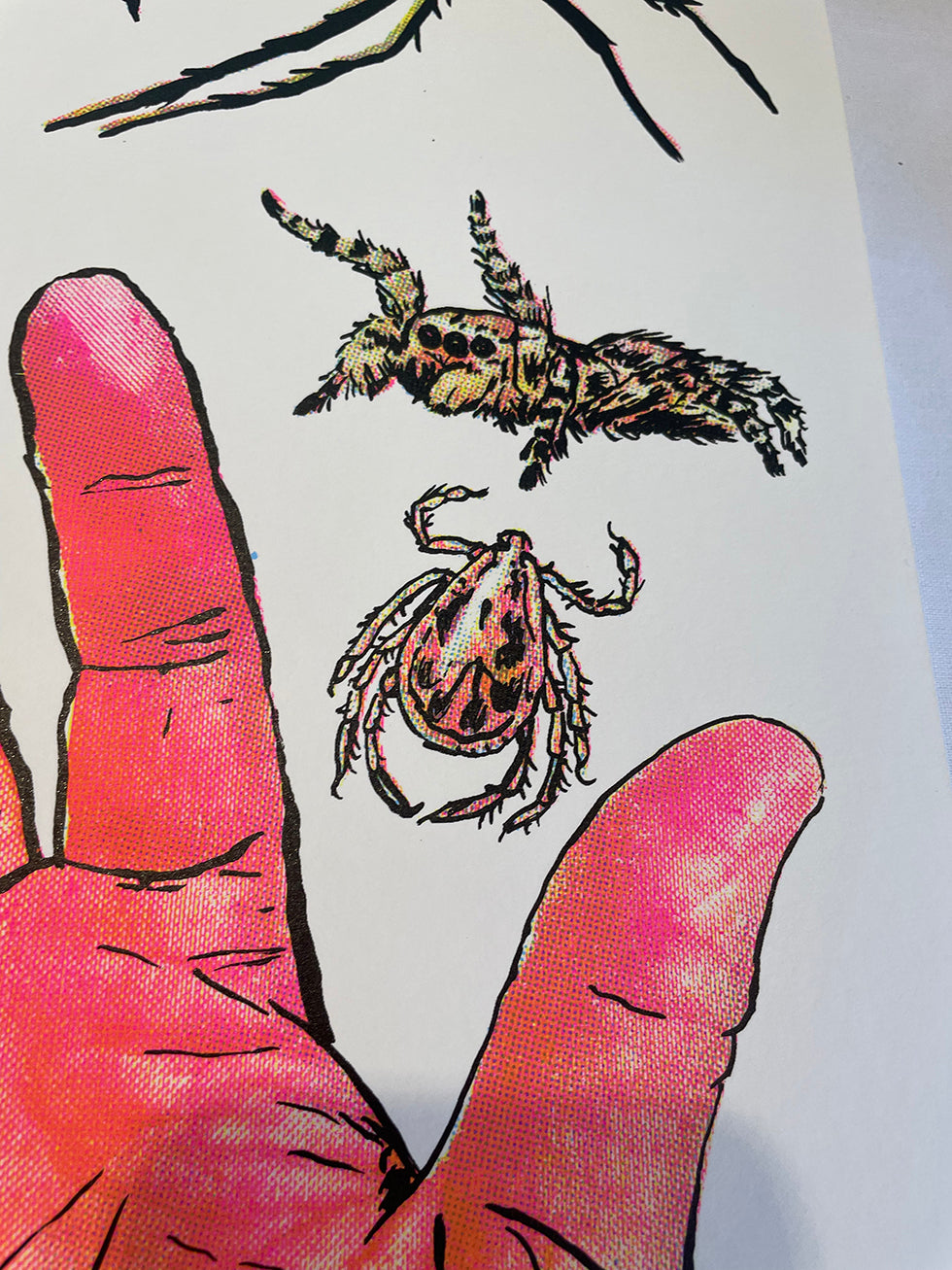 Arachnids/Hand Screen Print