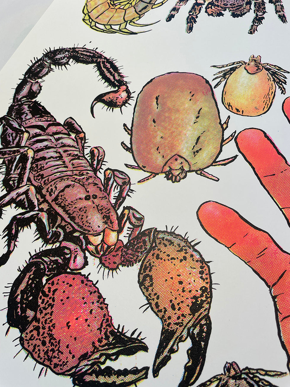 Arachnids/Hand Screen Print
