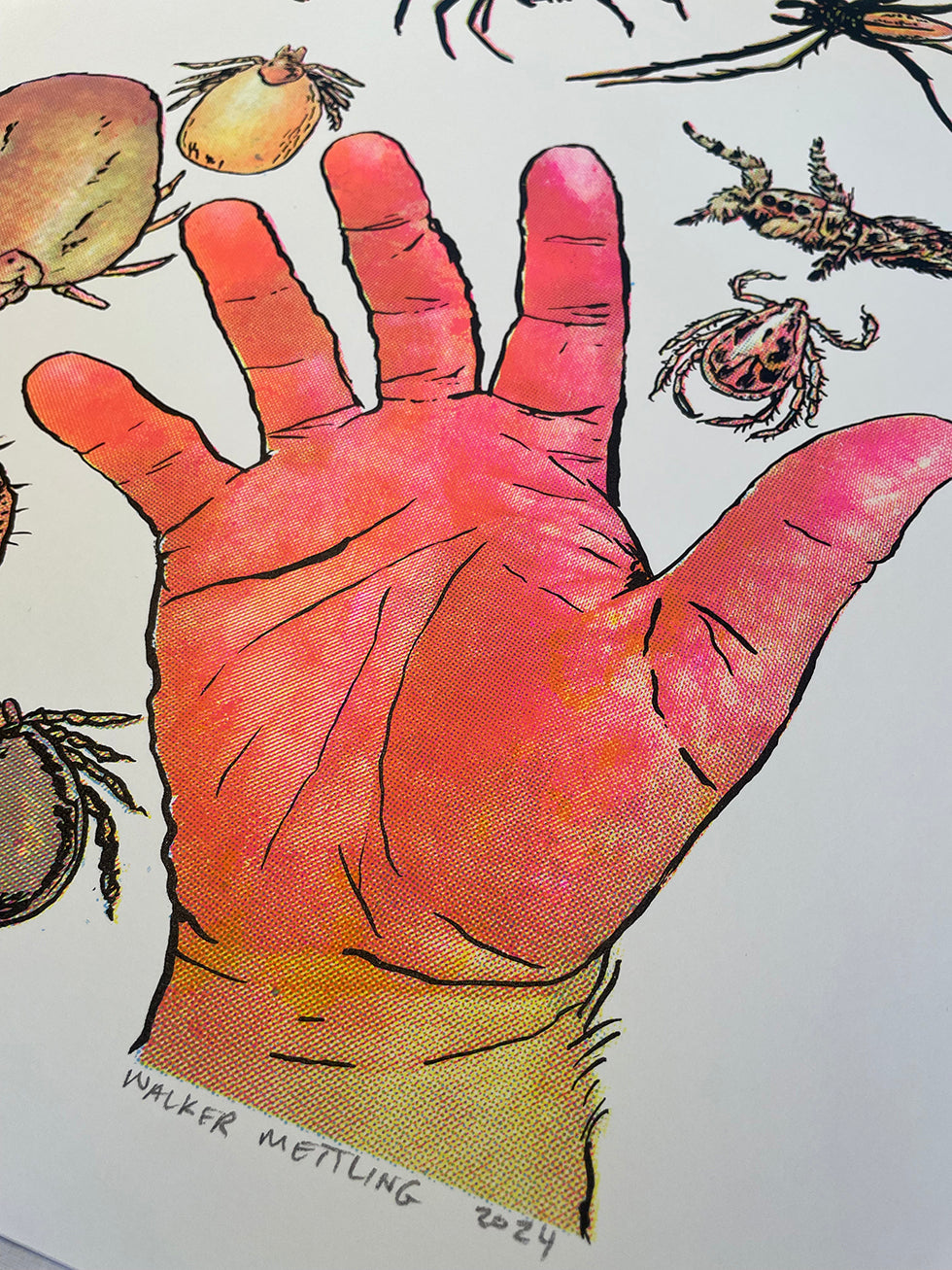Arachnids/Hand Screen Print