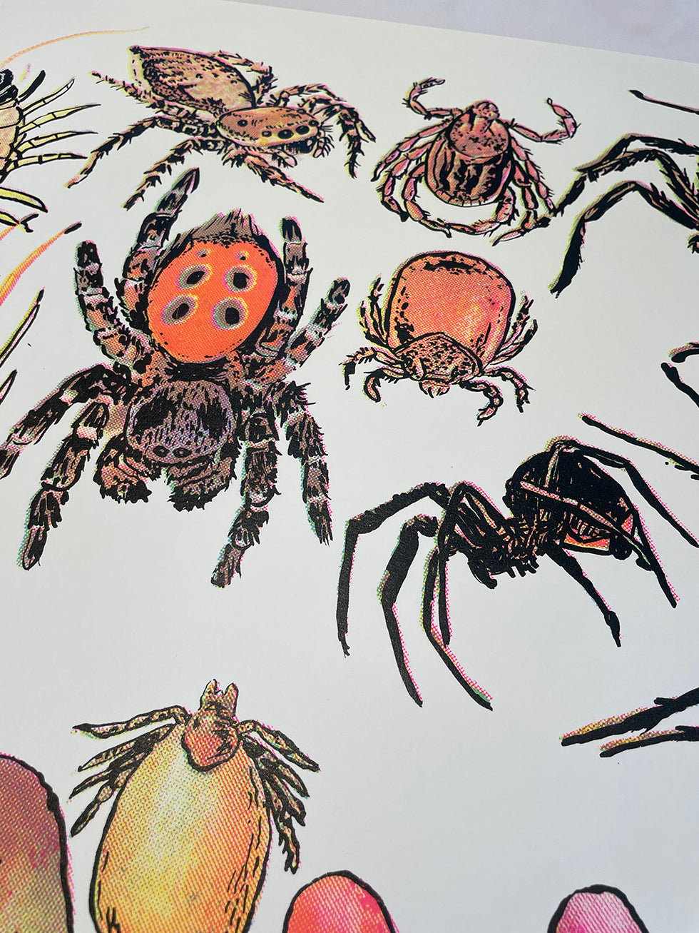 Arachnids/Hand Screen Print