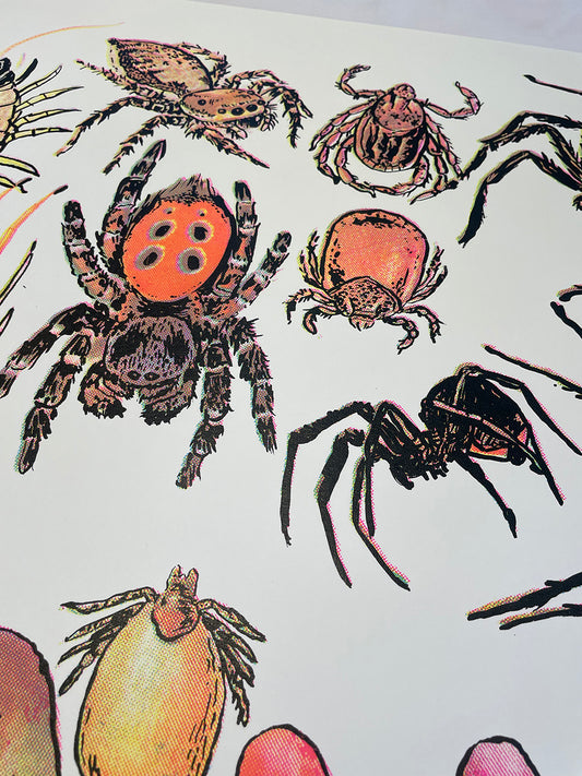Arachnids/Hand Screen Print