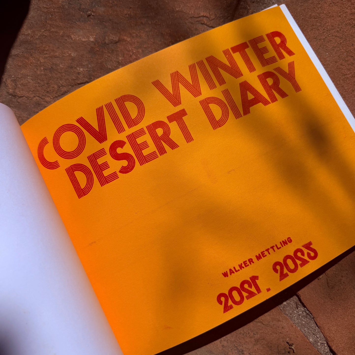 Covid Winter Desert Diary!