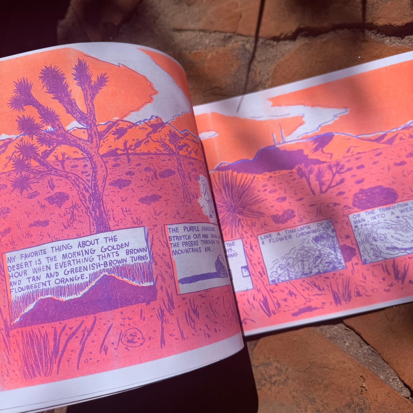 Covid Winter Desert Diary!