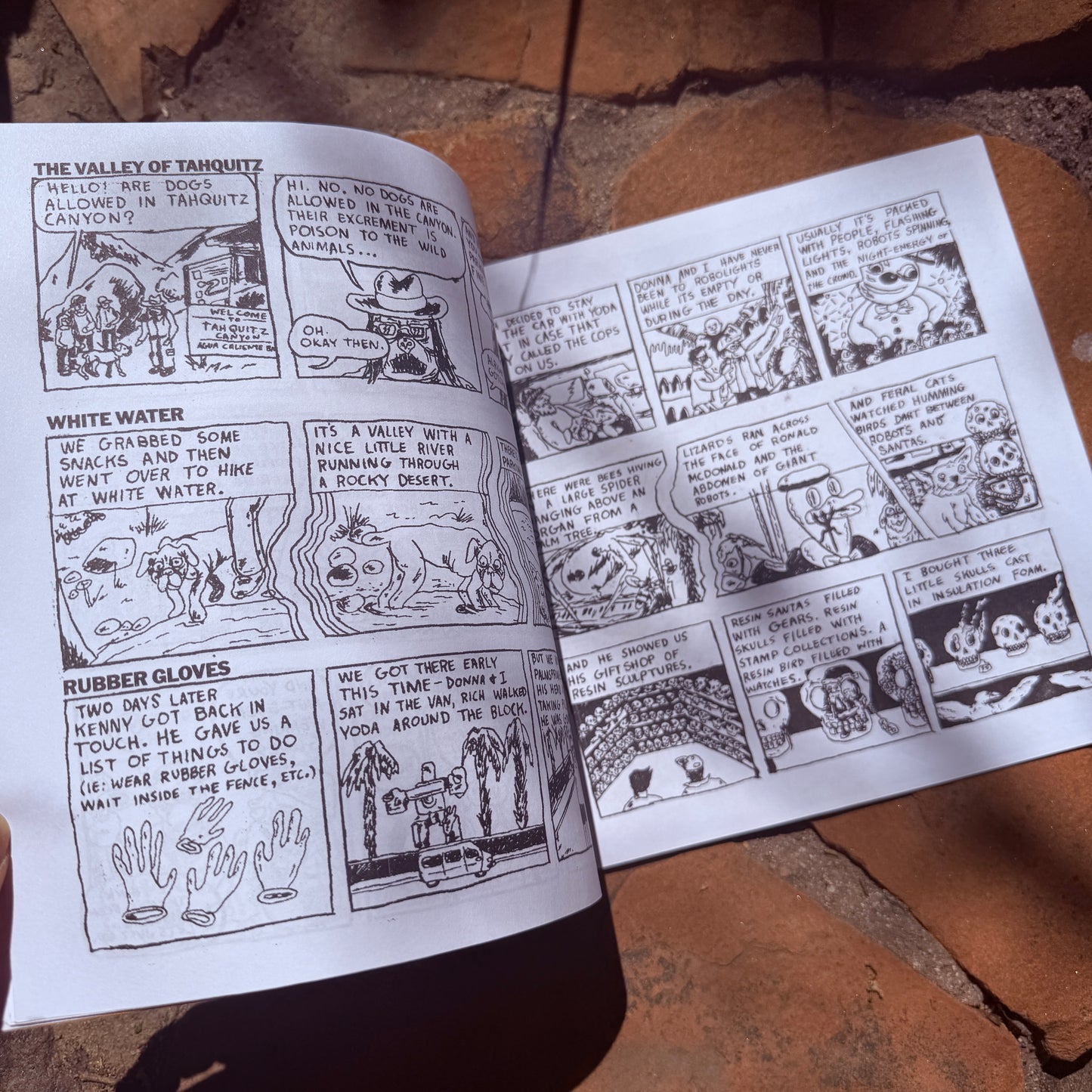 Covid Winter Desert Diary!